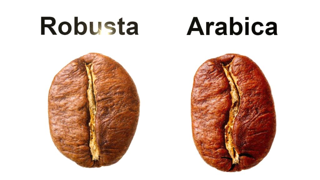 Robusta and Arabica