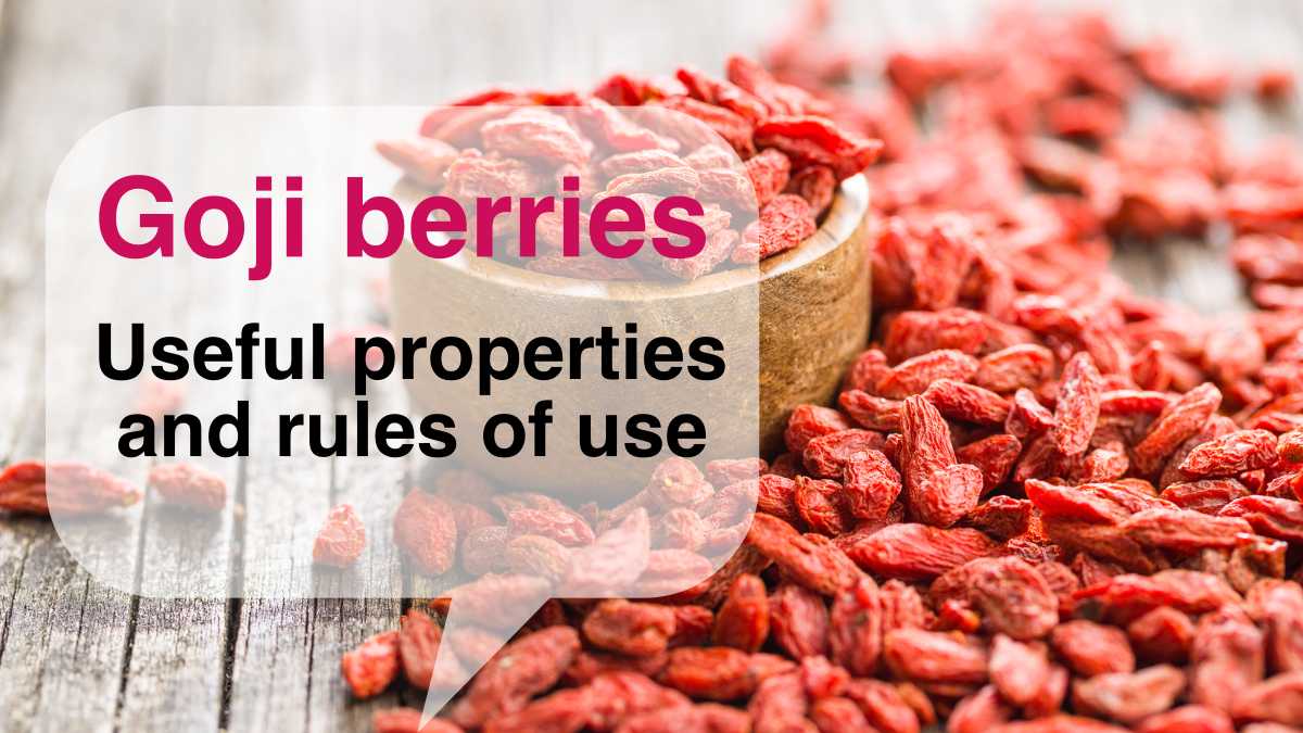 Benefits & Properties Goji Berries