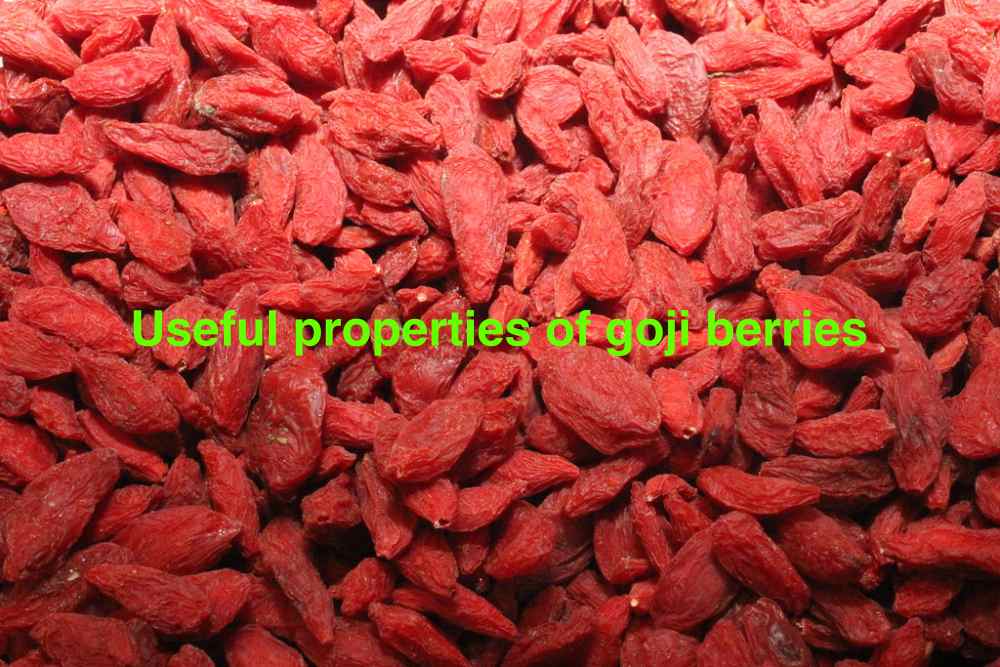 Goji berries