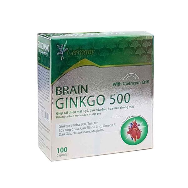 Brain Ginkgo 500