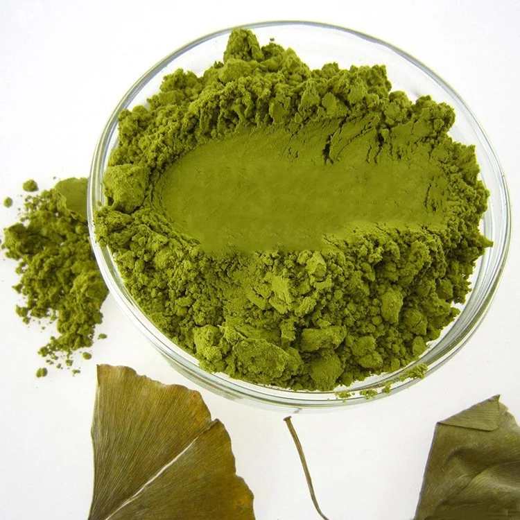 Ginkgo biloba powder extract