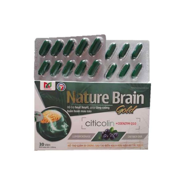 Nature Brain Gold - Brain Supplement with Ginkgo Biloba and Coenzym Q10