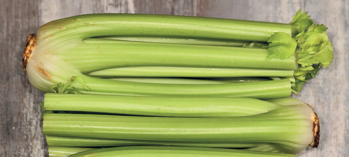 Some risks that can be encountered when using celery