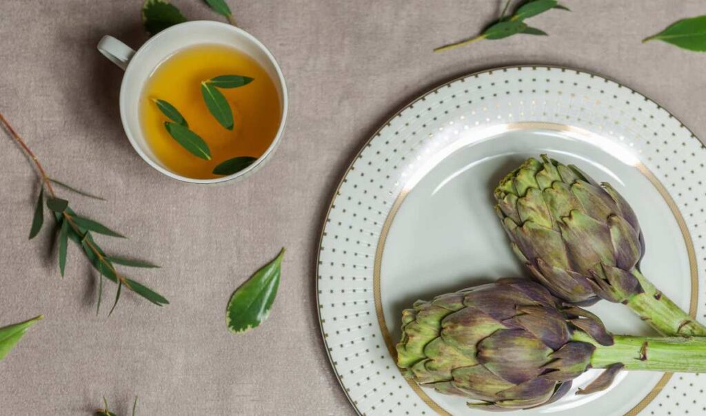 Vietnamese Artichoke and its beneficial properties SIXMD Vietnamese