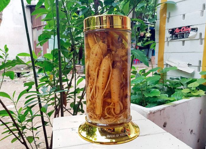 Vietnamese ginseng bottle of wine