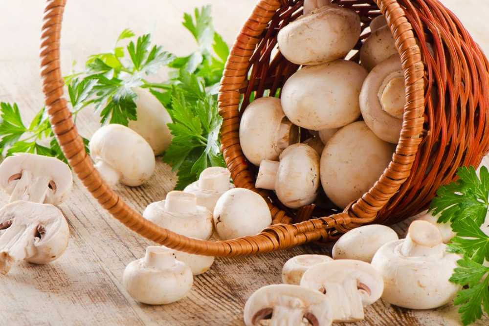 Mushrooms Boost Your Immunity 
