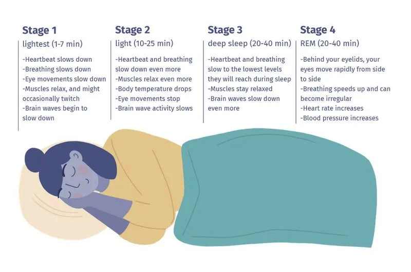 Best sleep cycle stages