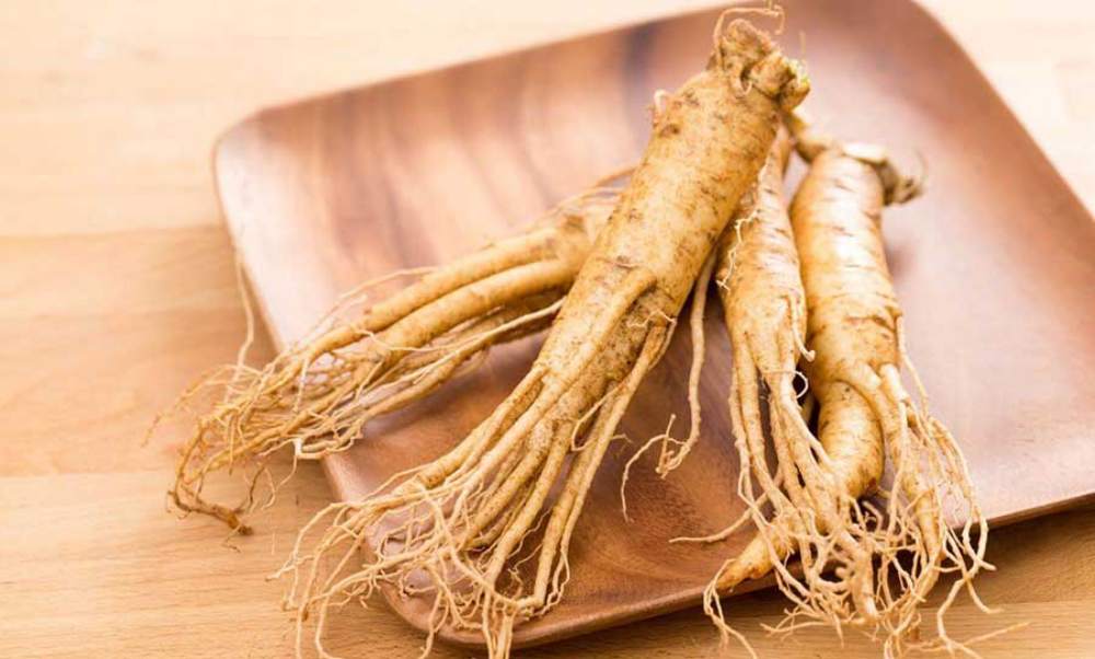 Vietnamese ginseng root