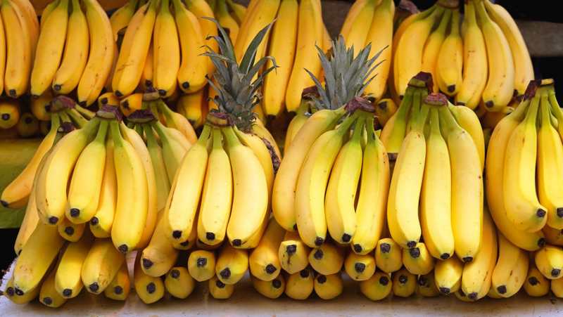 Bananas at market