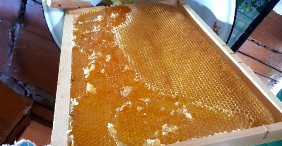 fresh Beeswax