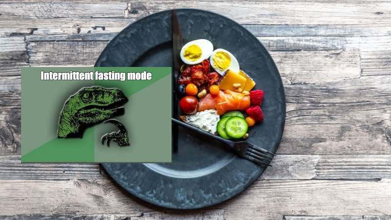 Intermittent fasting mode