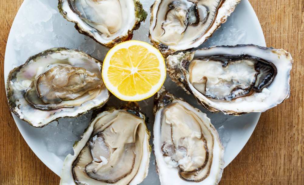 Fresh oysters in a white plate with ice and lemon