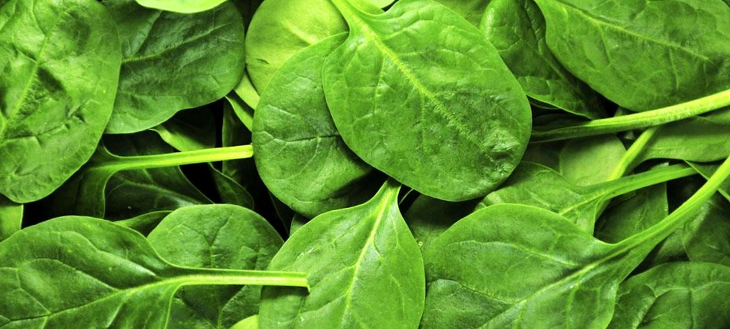 Spinach leaves