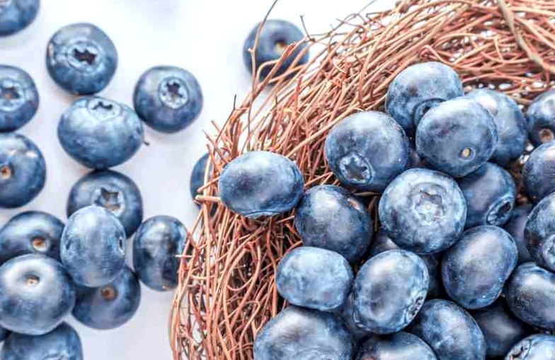 blueberry best summer berries