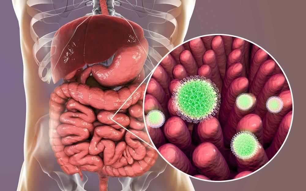 rotavirus photo