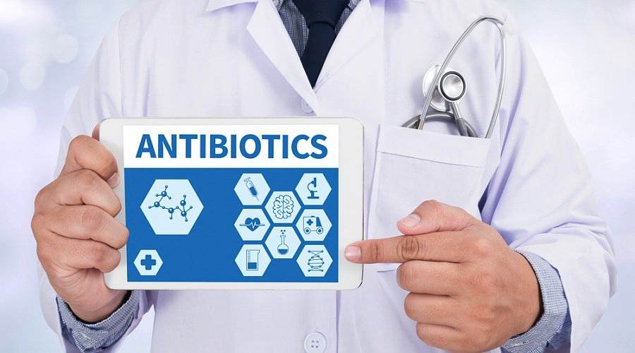 antibiotics 