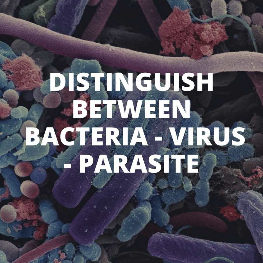 Distinguish between Bacteria - Virus - Parasite