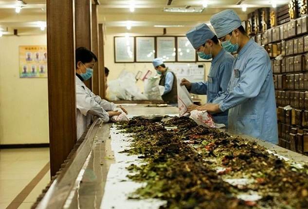 Traditional herbal medicine in Vietnam