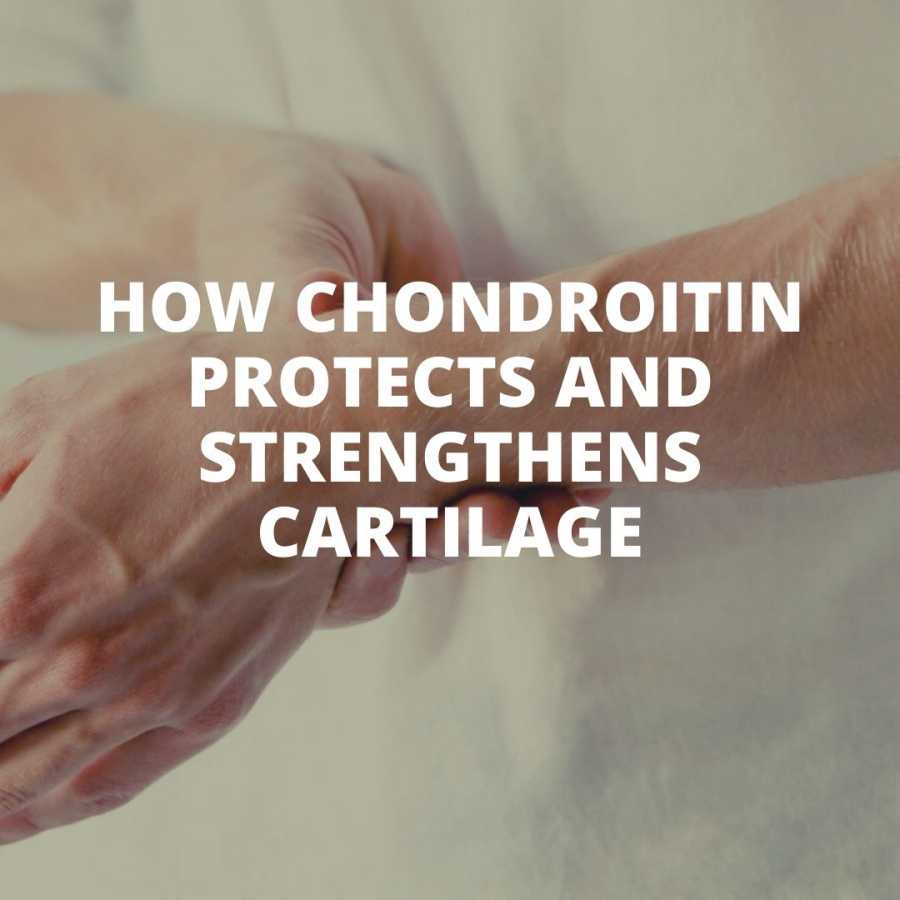 How chondroitin protects and strengthens cartilage