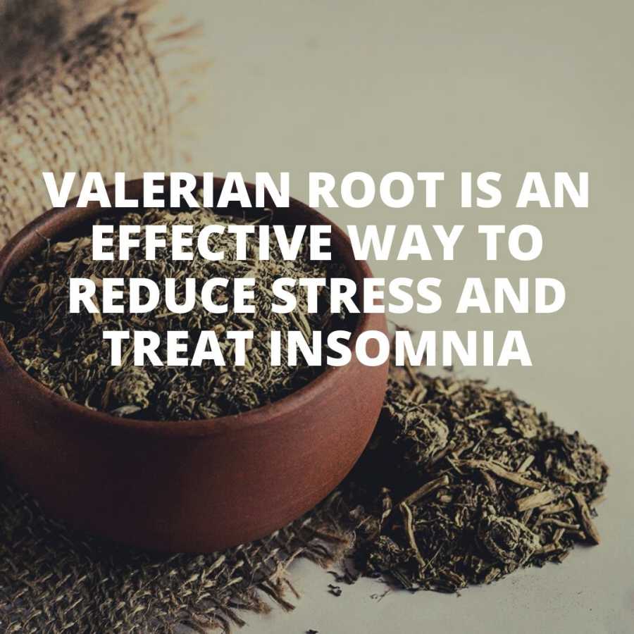Valerian root is an effective way to reduce stress and treat insomnia