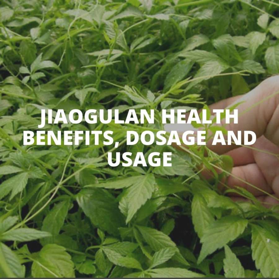 Jiaogulan herbs